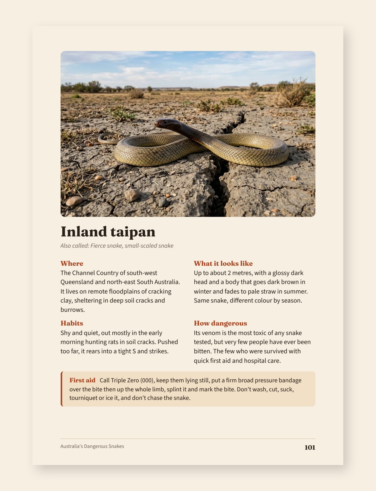 A sample page from the book